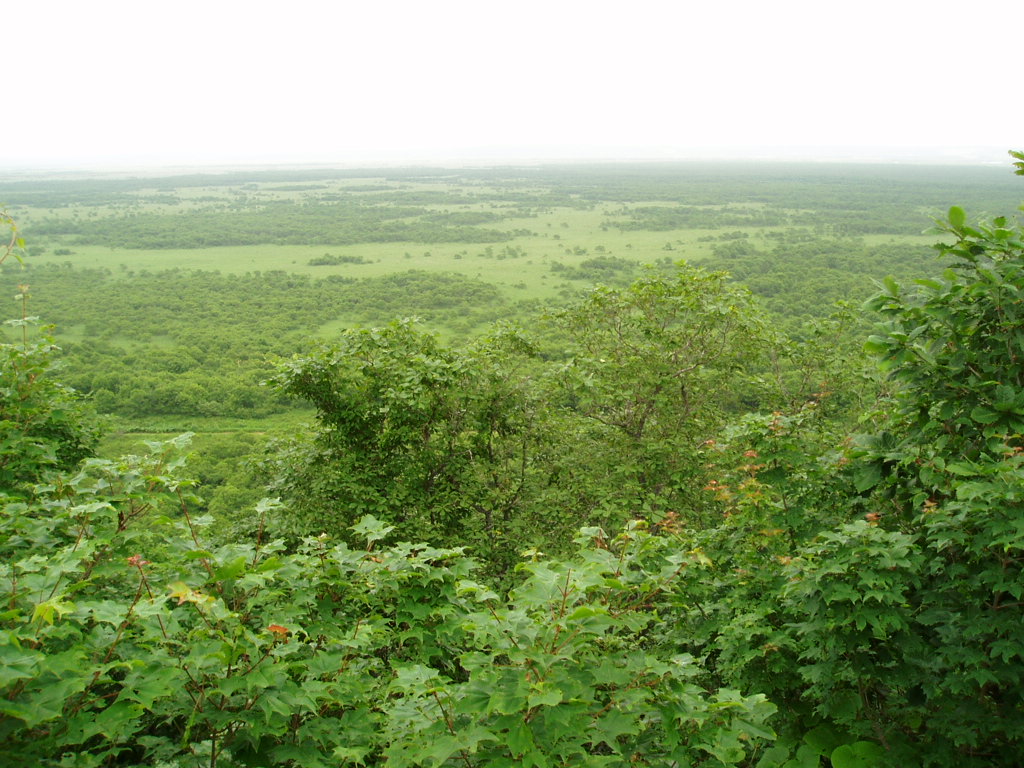 北海道キャンプ-2006・その２_f0100885_2057147.jpg