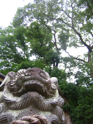 高槻より_d0047811_23405870.jpg