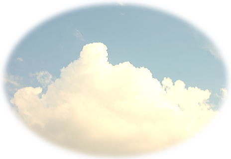 d0070316_1646684.jpg