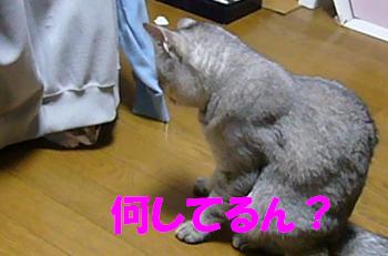 指導_f0002743_22184059.jpg