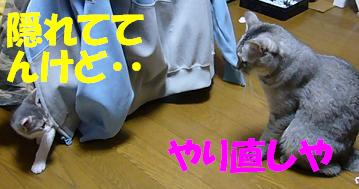 指導_f0002743_22185982.jpg