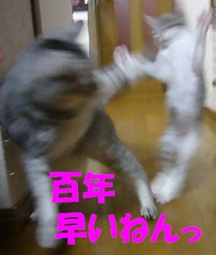 指導_f0002743_22195170.jpg