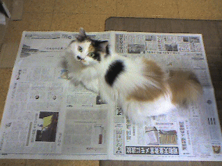 c0025852_14563220.gif