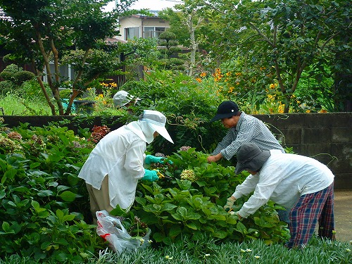 ひょうたん池花クラブ７月２１日の活動_f0062462_2139396.jpg