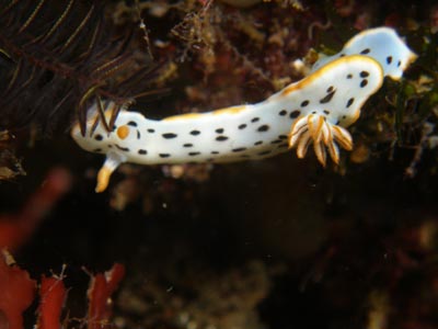 d0056263_14225839.jpg
