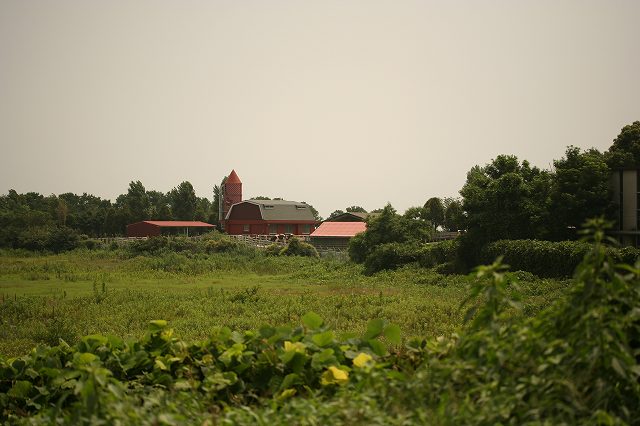 e0024081_1551831.jpg