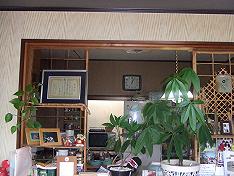 e0058803_10595425.jpg