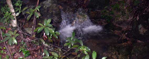 丹生山_a0062810_12525232.jpg