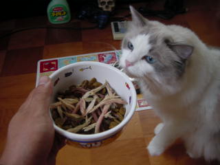 c0024410_12422748.jpg
