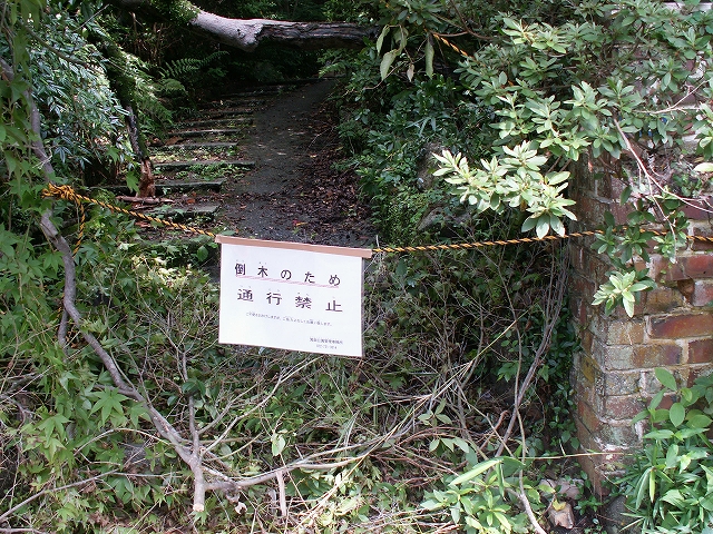 2006.7.22　箕面滝道（新設コース予定）_f0009128_205538.jpg