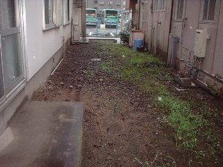 定期管理物件_f0031037_17255417.jpg