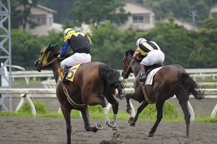こうちスタージョッキーシリーズ 福山騎手招待_a0077663_19571444.jpg