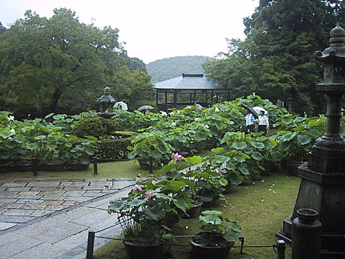 三室戸寺 １_c0022669_1265955.jpg