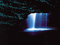 f0015072_20173100.gif