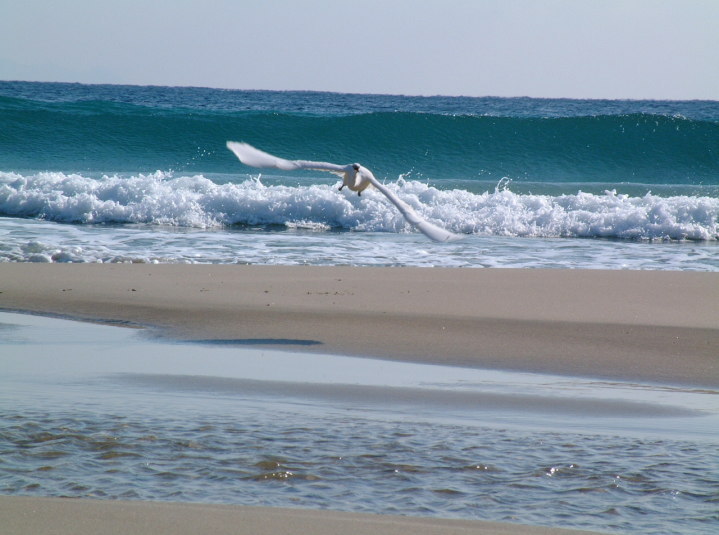 e0075675_1525636.jpg