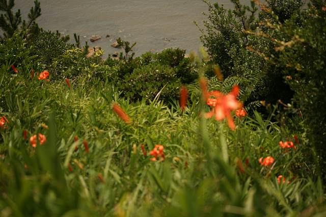 e0024081_14243491.jpg