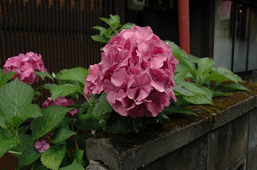 d0064000_17441443.jpg