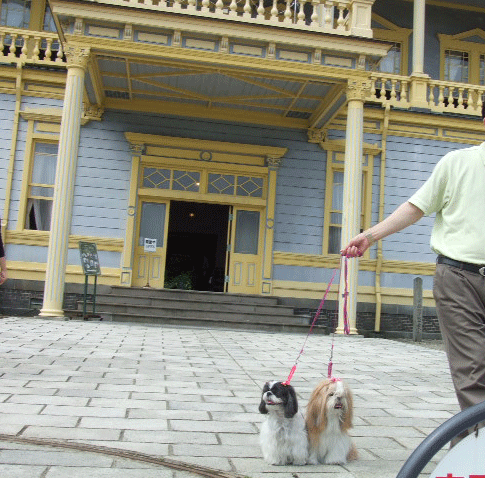 e0050801_0391881.gif