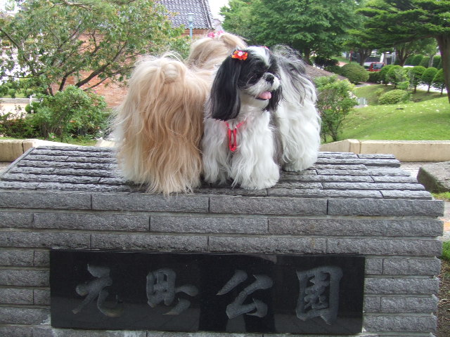 e0050801_0411418.jpg
