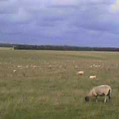 f0024708_25136.jpg