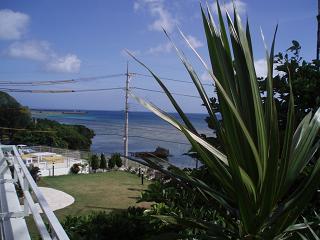 f0023210_22251995.jpg