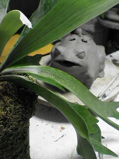 c0047024_150928.jpg