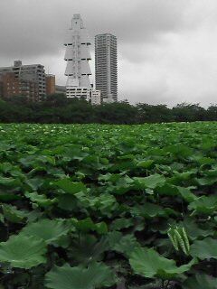 c0047024_150991.jpg