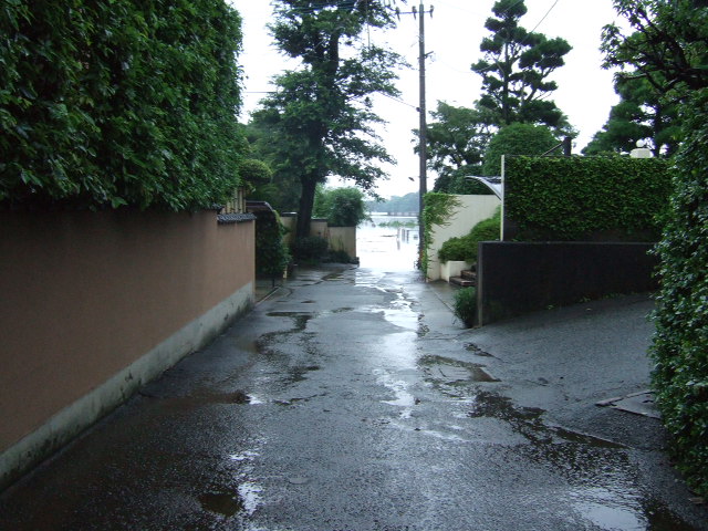 f0076529_88636.jpg