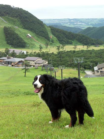 れおん、大山中ノ原スキー場へ行く!!_b0075541_055310.jpg