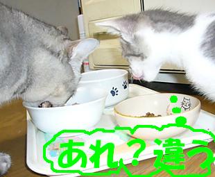 めずらしく_f0002743_11243442.jpg