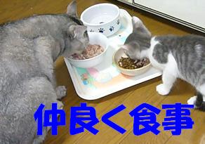 めずらしく_f0002743_1124653.jpg