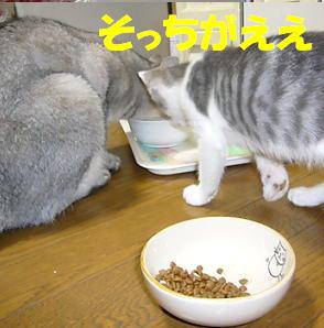 めずらしく_f0002743_11254057.jpg