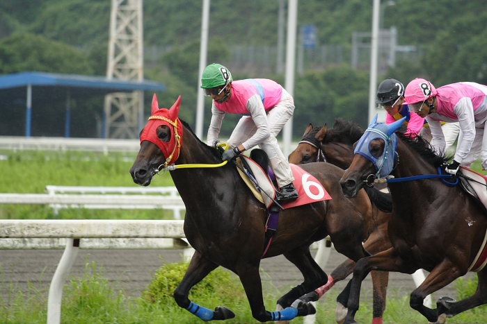 競馬の鉄人・佐々木竹見元騎手_a0077663_18201431.jpg