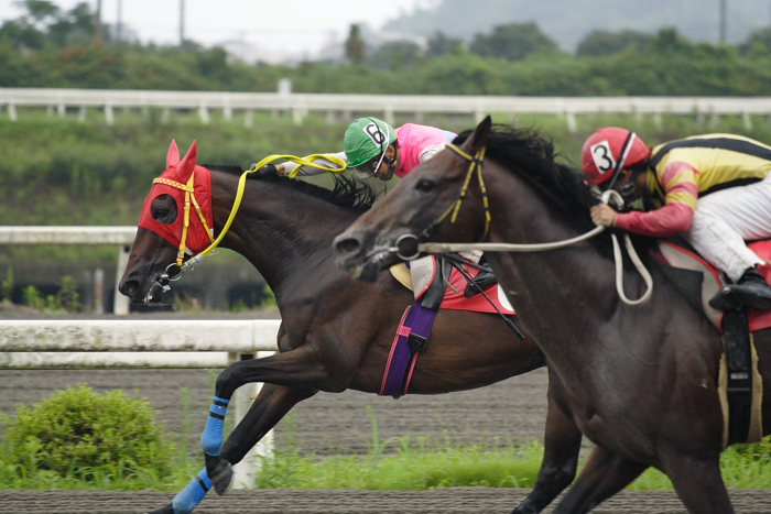 競馬の鉄人・佐々木竹見元騎手_a0077663_18291796.jpg