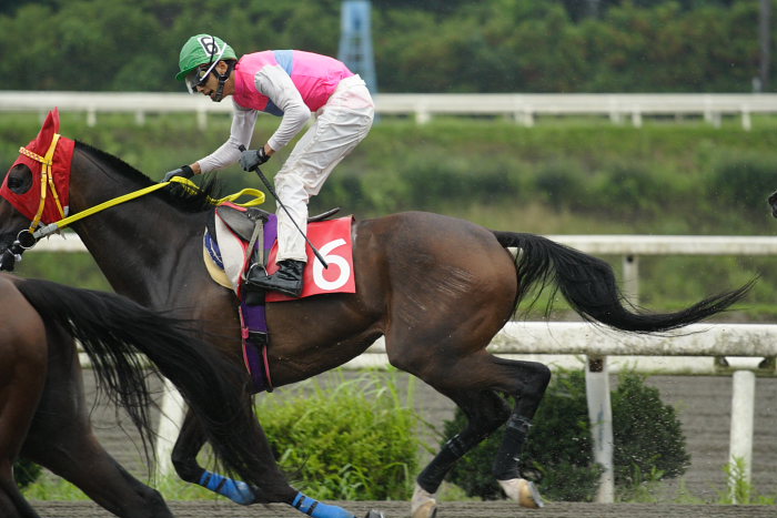 競馬の鉄人・佐々木竹見元騎手_a0077663_1833632.jpg