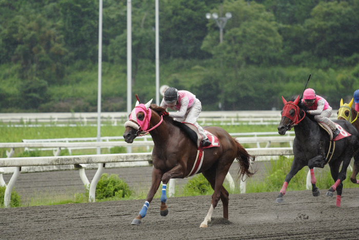 競馬の鉄人・佐々木竹見元騎手_a0077663_18382745.jpg