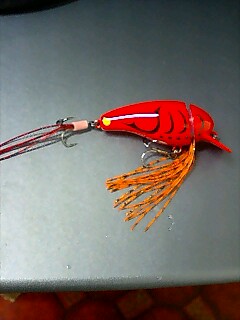 ゼットンお手軽チューニング_a0040876_23392318.jpg