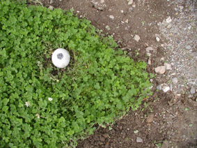 e0001693_10362885.jpg