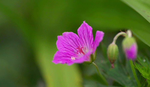 f0097501_20145564.gif