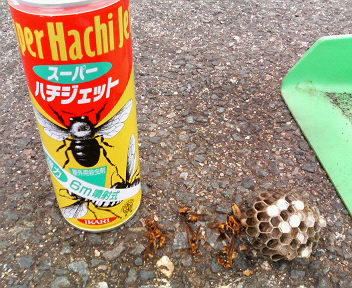 e0063309_10141140.jpg