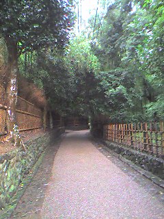 ♪嵐山にて♪・・野宮神社＊老松＊天龍寺_f0104510_135037100.jpg