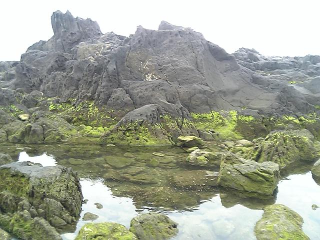 d0012712_9355897.jpg