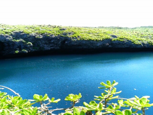c0048713_1032792.jpg