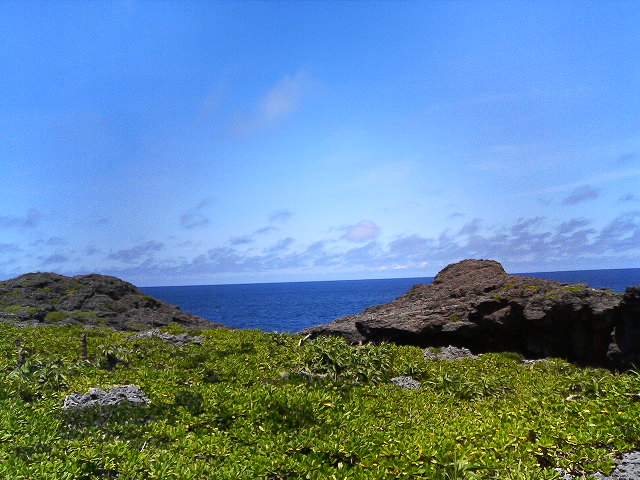 c0048713_1041491.jpg