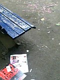 b0018242_2055229.jpg