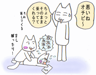 c0064647_19573514.gif