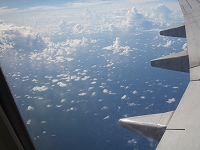 陸上編!_d0012449_20373083.jpg
