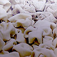c0084954_12272631.jpg