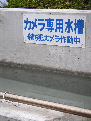 d0056263_1413522.jpg