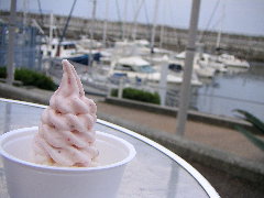 d0056263_1414725.jpg